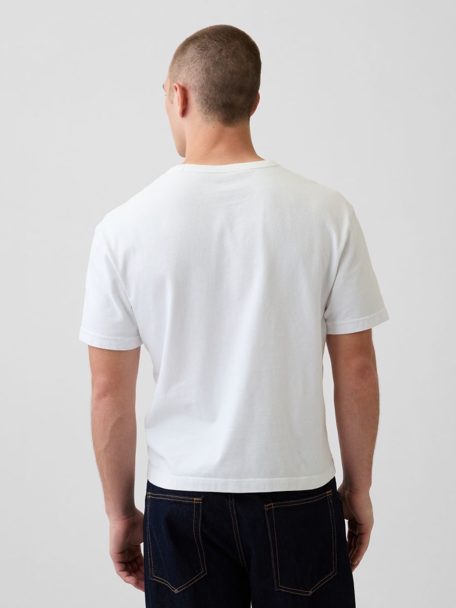 Ανδρική Μπλούζα Heavyweight Cropped Γραμμής 