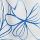 white blue floral