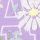wisteria blossom