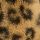 Animal print