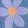 cornflower
