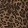 Leopard brown
