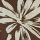 Brown floral